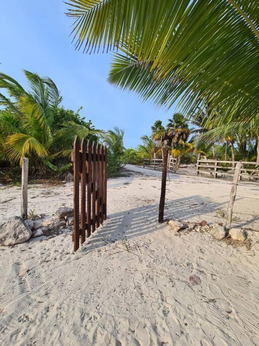 Casa Perla Marina, Pequena Casa Frente A La Playa. Apartment เอลกูโย ภายนอก รูปภาพ